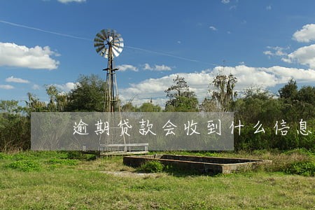 逾期贷款会收到什么信息 逾期贷款会收到什么信息