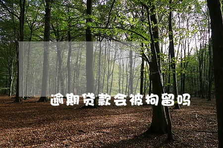 逾期贷款会被拘留吗