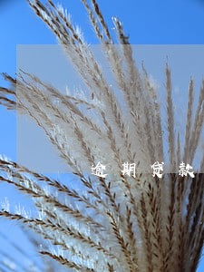 逾期贷款余额是本金 逾期贷款余额是本金
