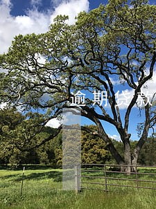 逾期贷款余额除以实收利息 逾期贷款余额除以实收利息