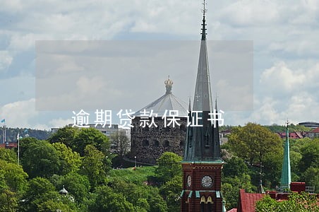 逾期贷款保证书 逾期贷款保证书