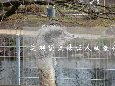 逾期贷款保证人被发催收 逾期贷款保证人被发催收