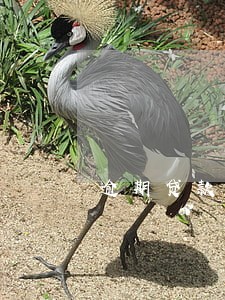 逾期贷款信息怎么发给亲戚 逾期贷款信息怎么发给亲戚