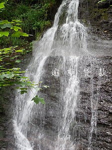 逾期贷款信息披露 逾期贷款信息披露