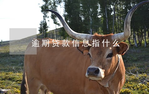 逾期贷款信息指什么 逾期贷款信息指什么