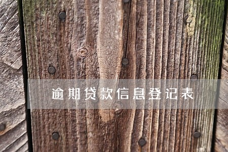 逾期贷款信息登记表 逾期贷款信息登记表