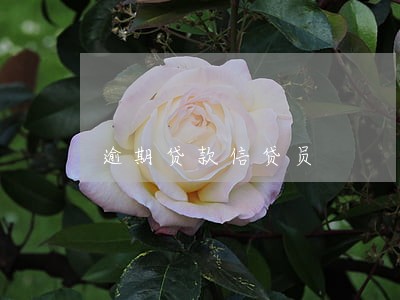 逾期贷款信贷员 逾期贷款信贷员