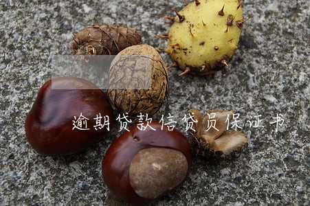 逾期贷款信贷员保证书 逾期贷款信贷员保证书
