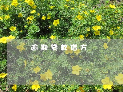 逾期贷款借方 逾期贷款借方