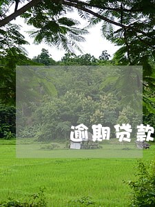 逾期贷款假装警察发短信 逾期贷款假装警察发短信