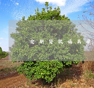 逾期贷款偏离率 逾期贷款偏离率