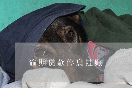 逾期贷款停息挂账 逾期贷款停息挂账