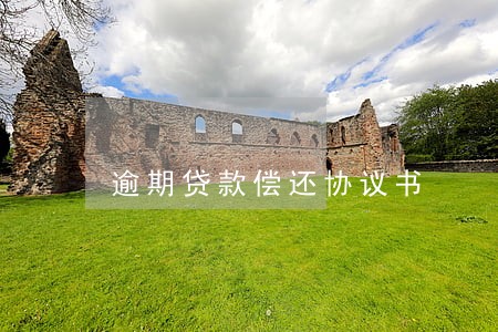 逾期贷款偿还协议书 逾期贷款偿还协议书