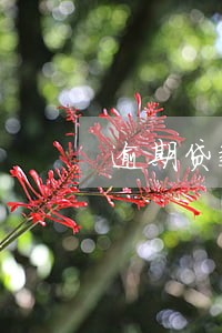 逾期贷款催告书 逾期贷款催告书