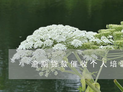 逾期贷款催收个人培训心得 逾期贷款催收个人培训心得
