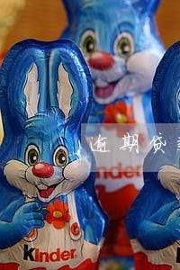 逾期贷款催收主体不包括 逾期贷款催收主体不包括