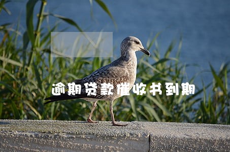逾期贷款催收书到期 逾期贷款催收书到期