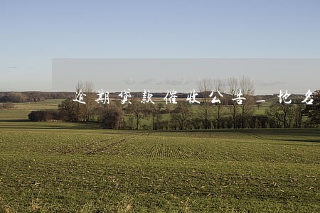 逾期贷款催收公告_地名查询 逾期贷款催收公告_地名查询