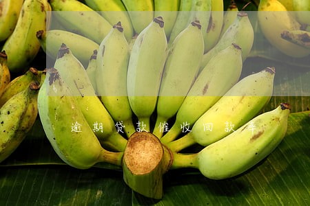 逾期贷款催收回款率 逾期贷款催收回款率