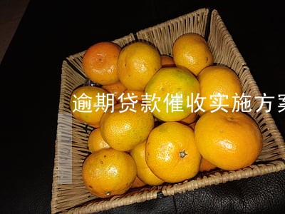 逾期贷款催收实施方案 逾期贷款催收实施方案