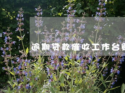 逾期贷款催收工作台账 逾期贷款催收工作台账