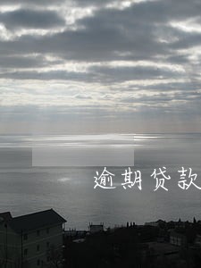 逾期贷款催收工作开展情况 逾期贷款催收工作开展情况