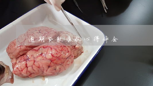 逾期贷款催收心得体会 逾期贷款催收心得体会