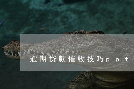 逾期贷款催收技巧ppt 逾期贷款催收技巧ppt