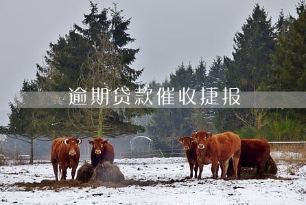 逾期贷款催收捷报 逾期贷款催收捷报