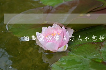 逾期贷款催收方式不包括 逾期贷款催收方式不包括