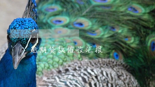 逾期贷款催收汇报 逾期贷款催收汇报