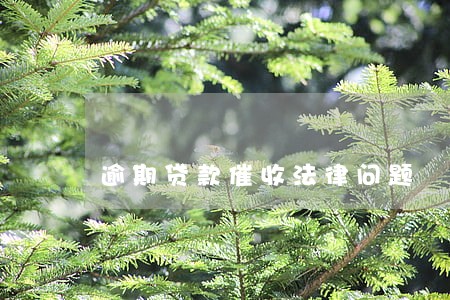 逾期贷款催收法律问题 逾期贷款催收法律问题