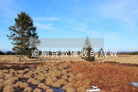 逾期贷款催收的成效 逾期贷款催收的成效