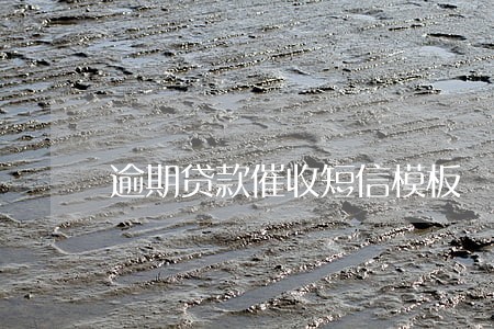 逾期贷款催收短信模板 逾期贷款催收短信模板