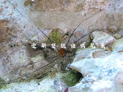 逾期贷款催收笔录 逾期贷款催收笔录