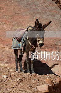 逾期贷款催收细则 逾期贷款催收细则