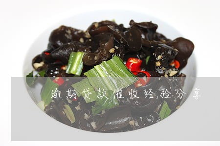逾期贷款催收经验分享 逾期贷款催收经验分享