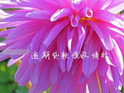 逾期贷款催收绩效 逾期贷款催收绩效
