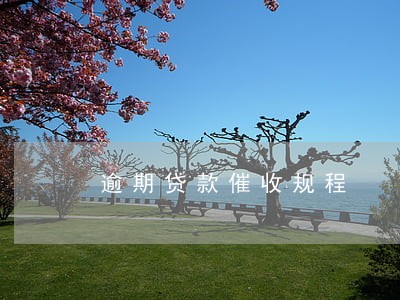 逾期贷款催收规程 逾期贷款催收规程