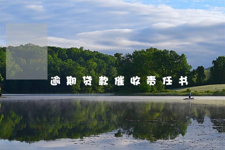 逾期贷款催收责任书 逾期贷款催收责任书