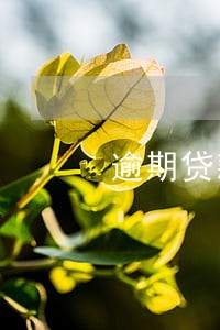 逾期贷款催收贷款主体不包括 逾期贷款催收贷款主体不包括