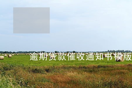 逾期贷款催收通知书模版 逾期贷款催收通知书模版