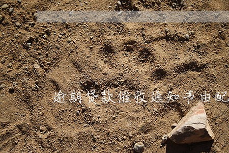 逾期贷款催收通知书由配偶签收