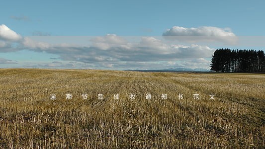 逾期贷款催收通知书范文 逾期贷款催收通知书范文