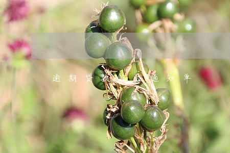 逾期贷款催收通知单 逾期贷款催收通知单