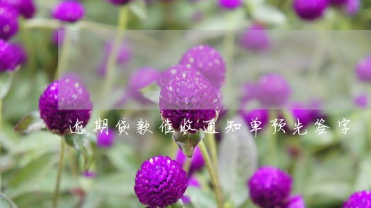 逾期贷款催收通知单预先签字 逾期贷款催收通知单预先签字