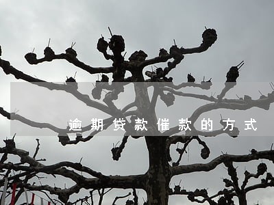 逾期贷款催款的方式 逾期贷款催款的方式