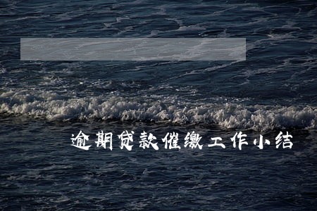 逾期贷款催缴工作小结