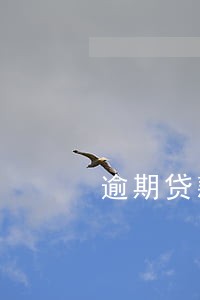 逾期贷款先扣本金再扣利息
