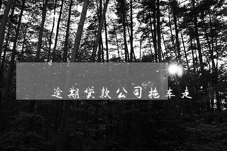 逾期贷款公司拖车走